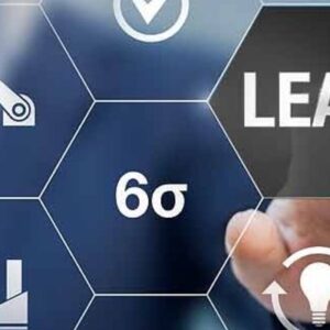 Lean Six Sigma Black Belt